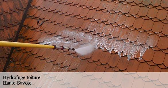 hydrofuge-toiture