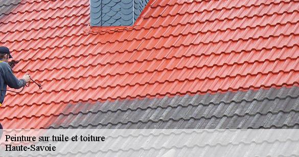 peinture-sur-tuile-et-toiture