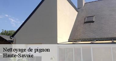 nettoyage-de-pignon