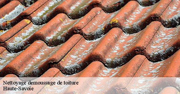 nettoyage-demoussage-de-toiture