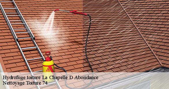 hydrofuge-toiture