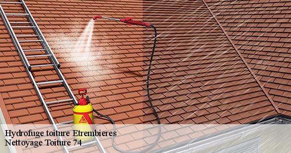 hydrofuge-toiture