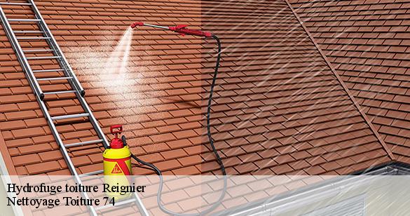hydrofuge-toiture