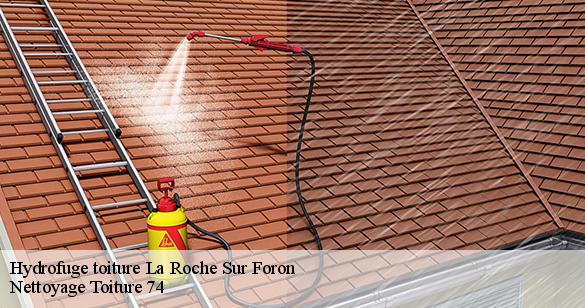 hydrofuge-toiture