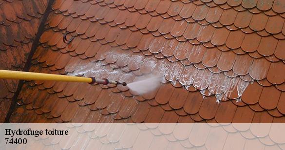 hydrofuge-toiture