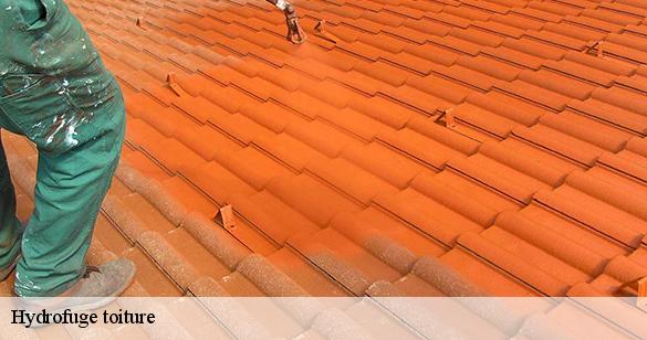hydrofuge-toiture