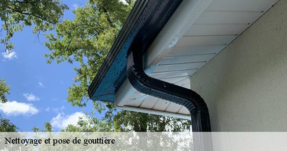nettoyage-et-pose-de-gouttiere