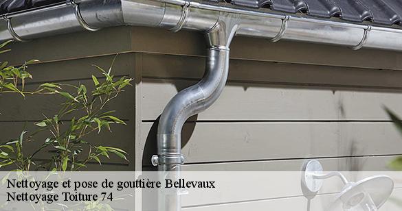 nettoyage-et-pose-de-gouttiere