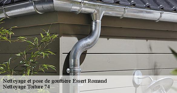 nettoyage-et-pose-de-gouttiere