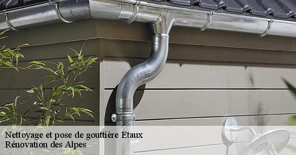 nettoyage-et-pose-de-gouttiere