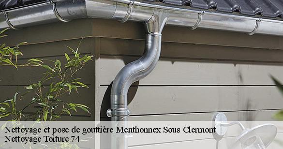 nettoyage-et-pose-de-gouttiere