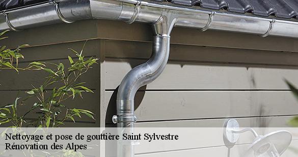 nettoyage-et-pose-de-gouttiere