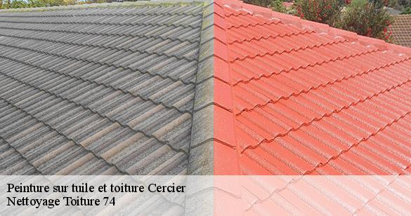 peinture-sur-tuile-et-toiture