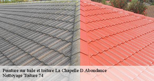 peinture-sur-tuile-et-toiture