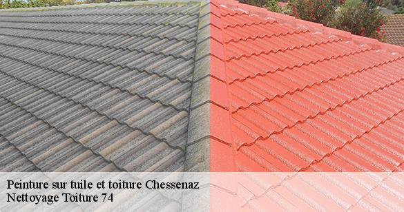 peinture-sur-tuile-et-toiture