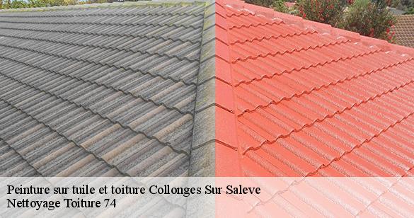 peinture-sur-tuile-et-toiture