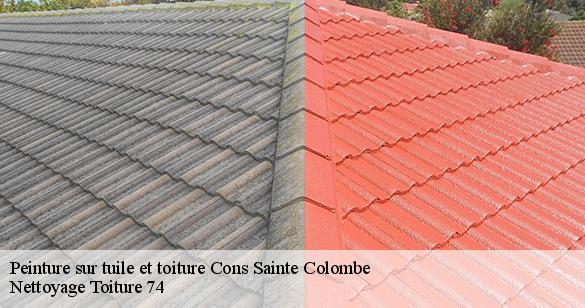 peinture-sur-tuile-et-toiture