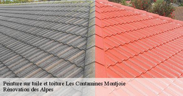 peinture-sur-tuile-et-toiture