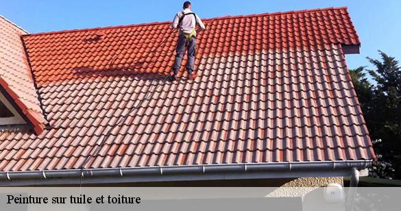 peinture-sur-tuile-et-toiture