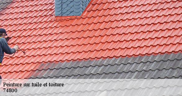 peinture-sur-tuile-et-toiture