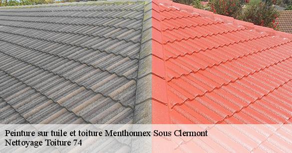 peinture-sur-tuile-et-toiture