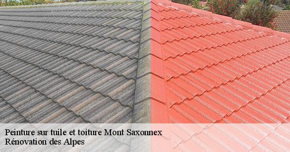 peinture-sur-tuile-et-toiture