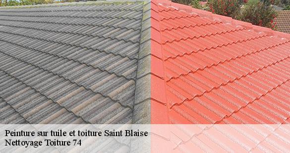 peinture-sur-tuile-et-toiture