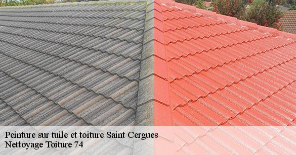 peinture-sur-tuile-et-toiture