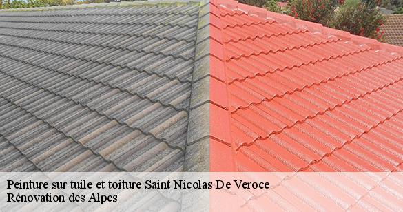 peinture-sur-tuile-et-toiture