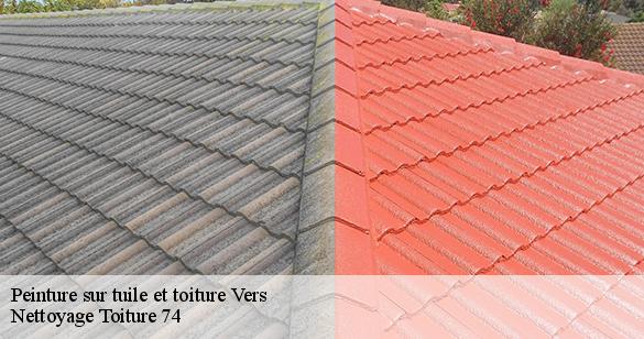 peinture-sur-tuile-et-toiture