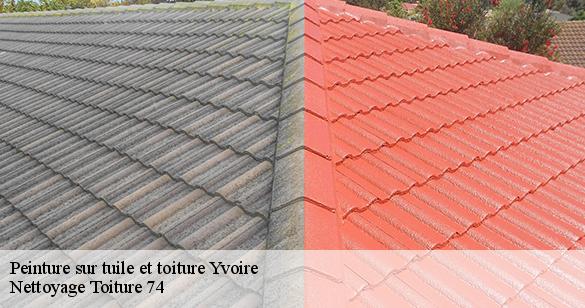 peinture-sur-tuile-et-toiture