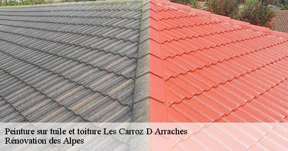 peinture-sur-tuile-et-toiture