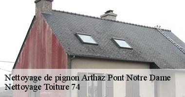 nettoyage-de-pignon