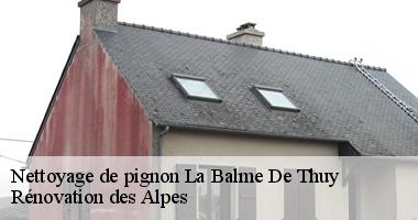 nettoyage-de-pignon