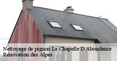 nettoyage-de-pignon