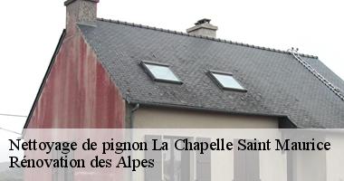 nettoyage-de-pignon