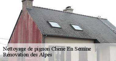 nettoyage-de-pignon