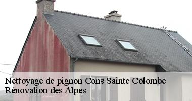 nettoyage-de-pignon