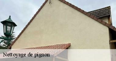 nettoyage-de-pignon