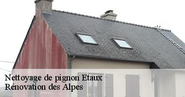 nettoyage-de-pignon