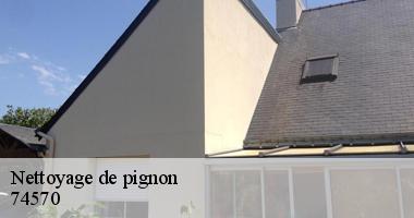 nettoyage-de-pignon