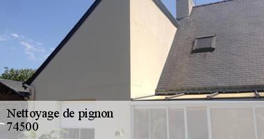 nettoyage-de-pignon