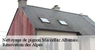 nettoyage-de-pignon