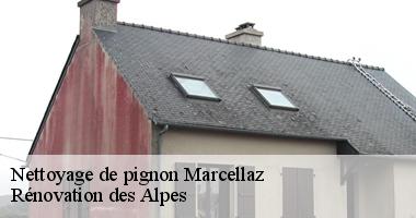 nettoyage-de-pignon