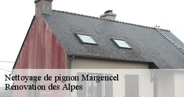 nettoyage-de-pignon
