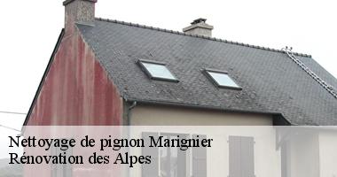 nettoyage-de-pignon