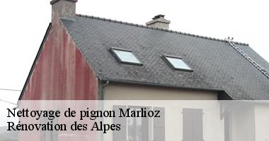 nettoyage-de-pignon