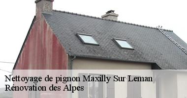 nettoyage-de-pignon