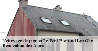nettoyage-de-pignon