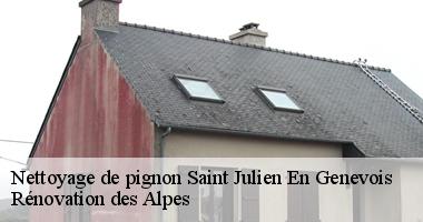 nettoyage-de-pignon
